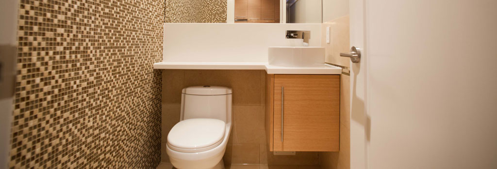 Vasko Pavlov Design - Bathroom Renovation